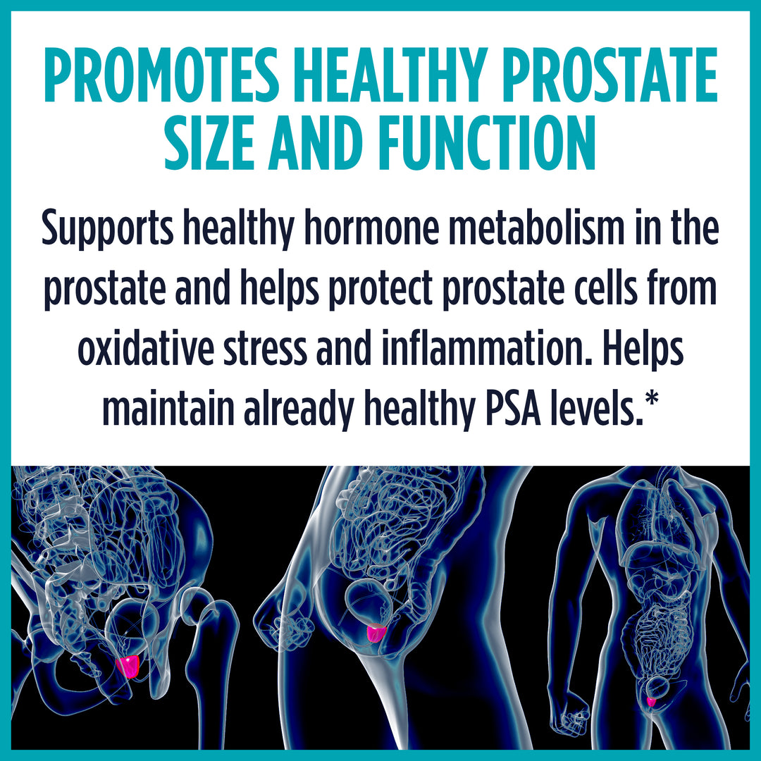 P-Well Prostate Support